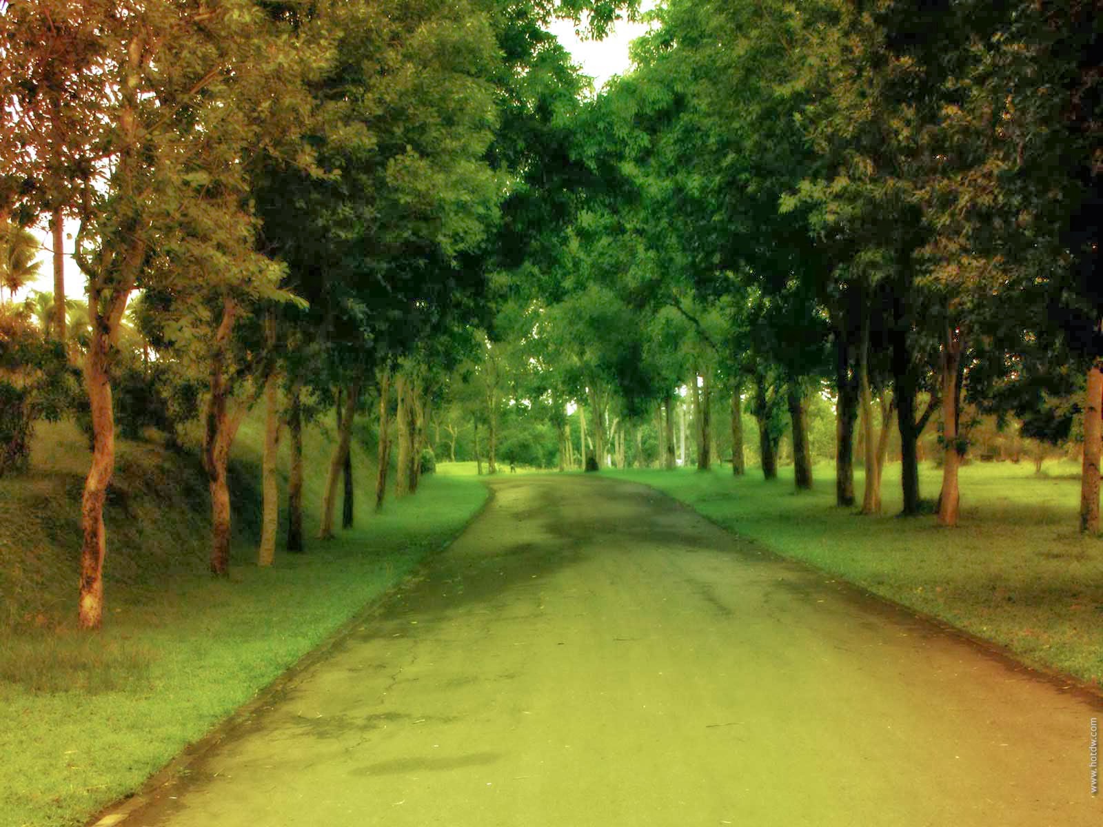 Wallpepar Pak - Right Path Quotes Islam - HD Wallpaper 