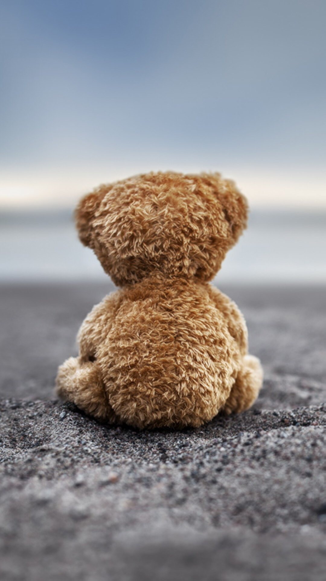 Teddy Bear Back Side - HD Wallpaper 