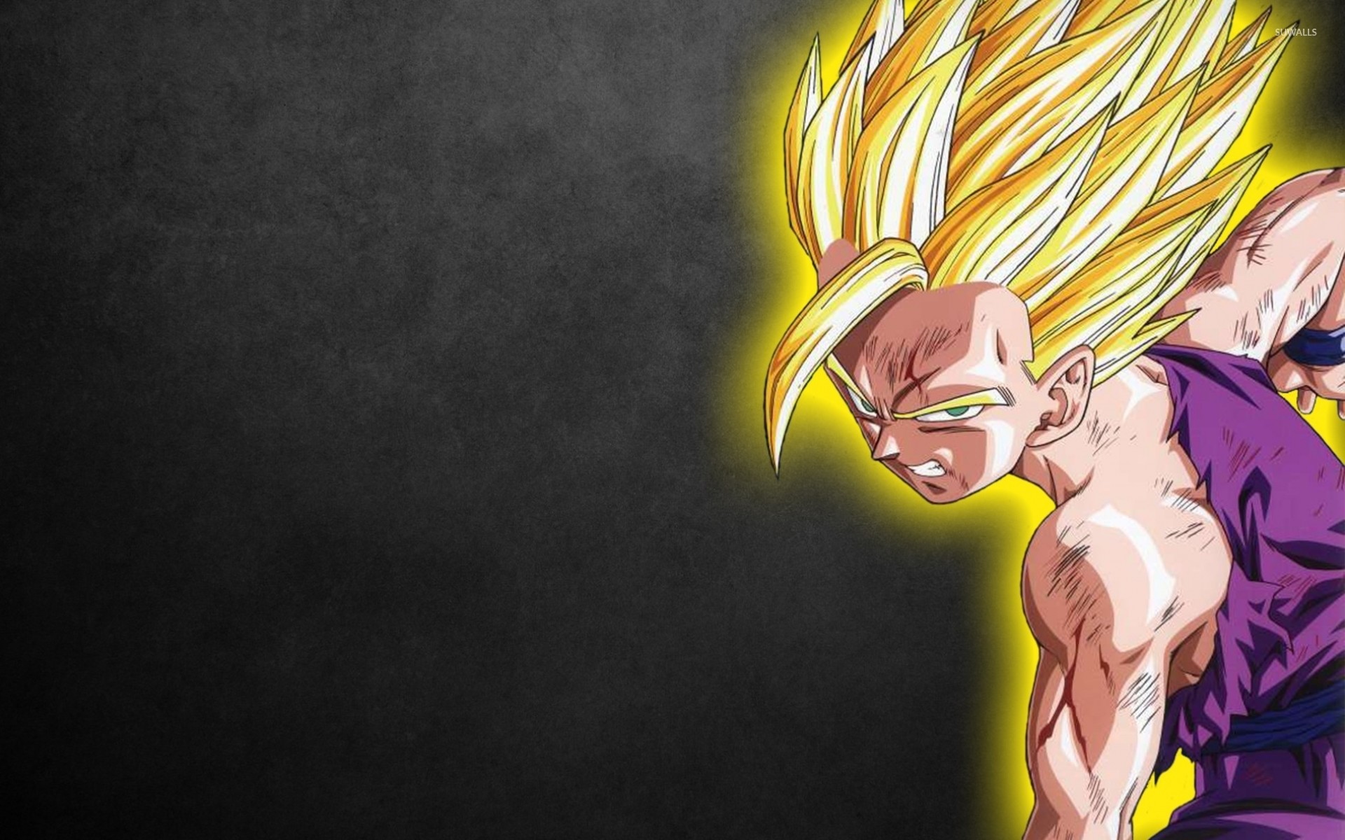 Black Gohan Son Gohan Dragon Ball Z Wallpaper - Gohan Wallpapers Hd - HD Wallpaper 