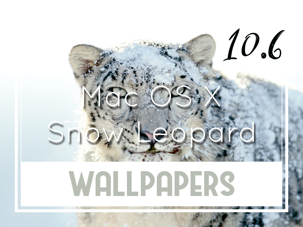 Mac Os X V10 - Animal In Cold Region - HD Wallpaper 