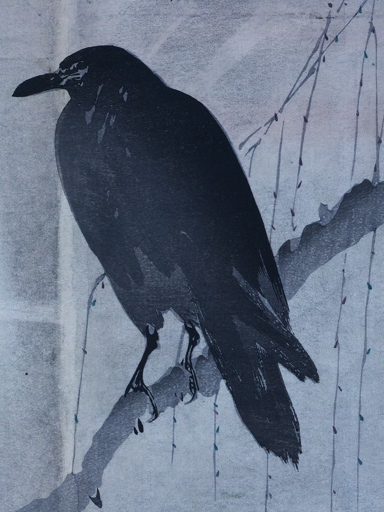 Old Painting Of A Raven - HD Wallpaper 