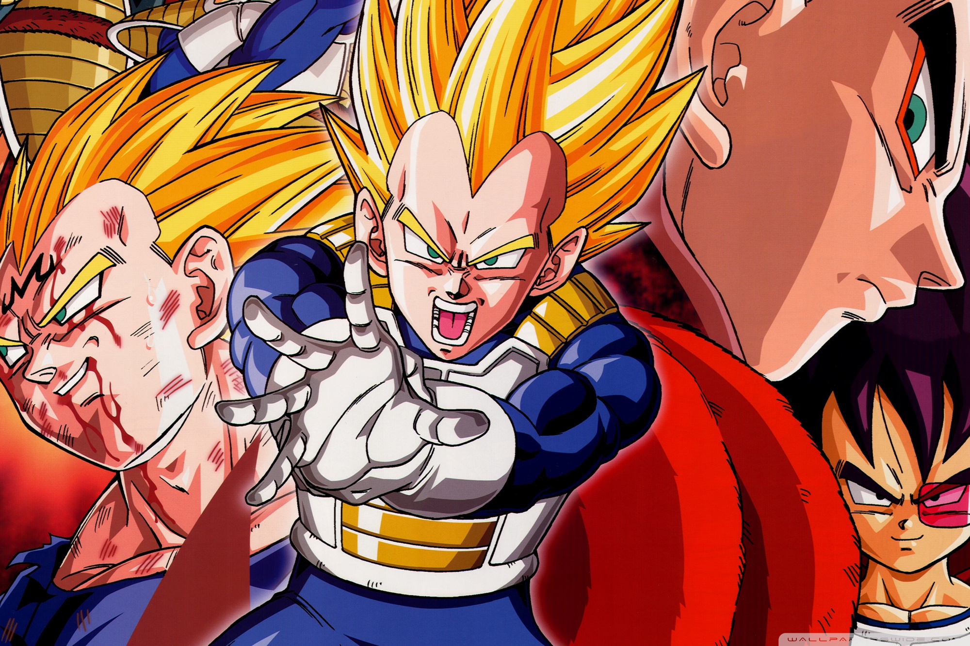 Dragon Ball Z - HD Wallpaper 