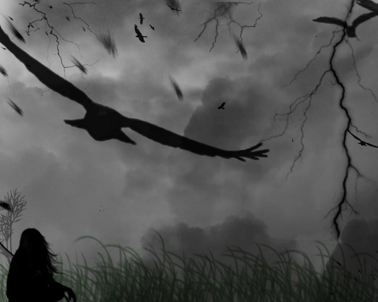 Free Download The Crow Wallpaper Id - Backgrounds Crows - HD Wallpaper 