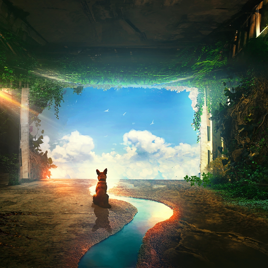 Lonely Dog Wallpaper Engine - HD Wallpaper 