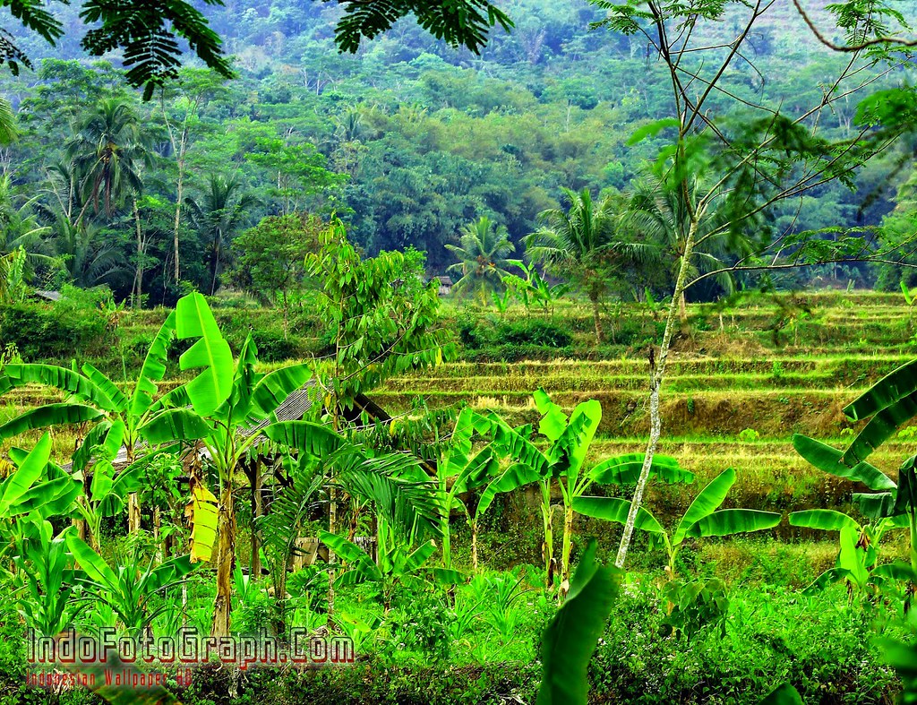 Download Gambar Pemandangan Alam Indonesia - HD Wallpaper 