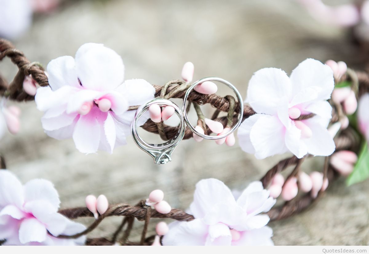 Marriage Anniversary Anniversary Photo Background 10x6 Wallpaper Teahub Io Marriage Anniversary Anniversary Photo Background 10x6 Wallpaper Teahub Io