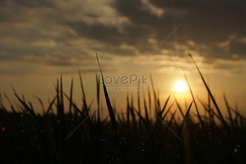 Wallpaper Pemandangan Alam Foto - Sunrise - HD Wallpaper 