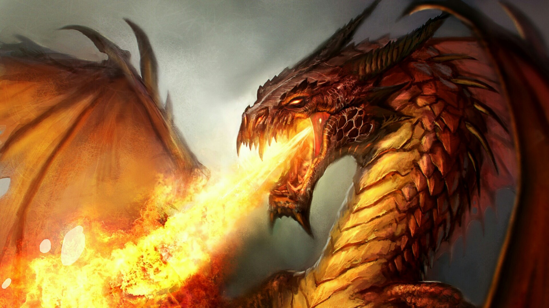 Dragon Fire - HD Wallpaper 