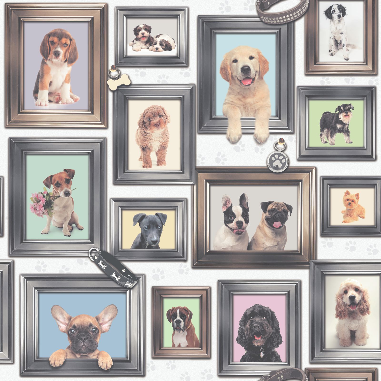 Dog Wallpaper Bedroom - 1600x1600 Wallpaper 