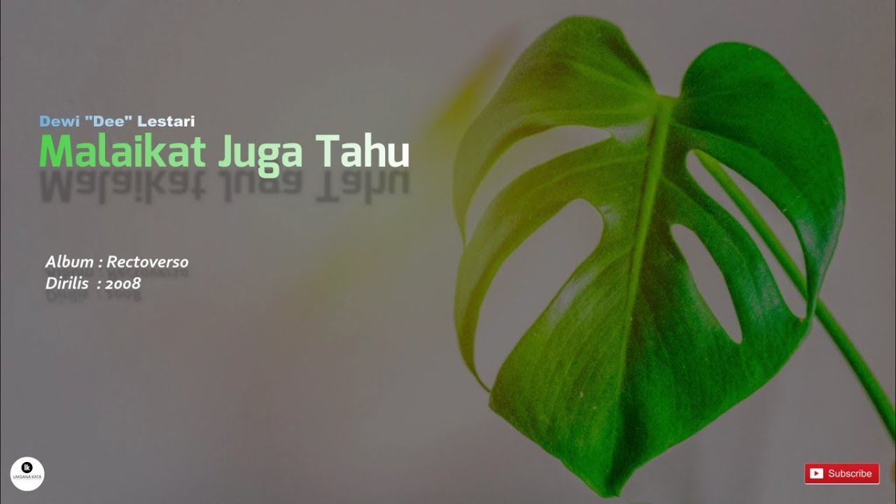 Swiss Cheese Plant - HD Wallpaper 