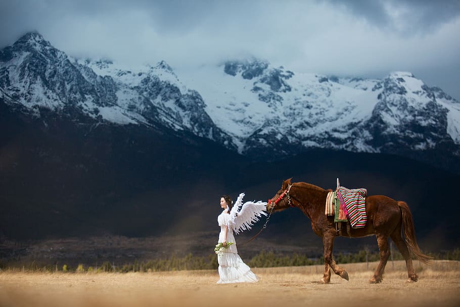 Sorrel - HD Wallpaper 