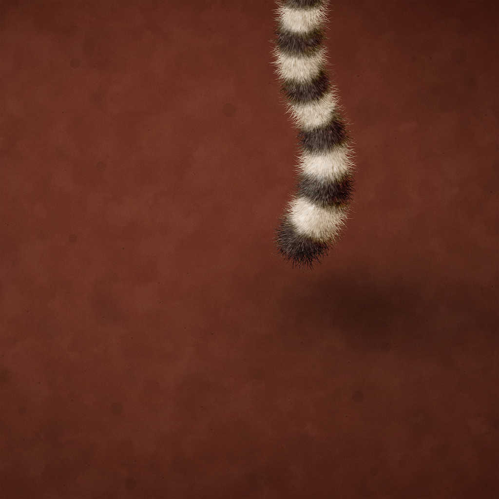 Caterpillar - HD Wallpaper 