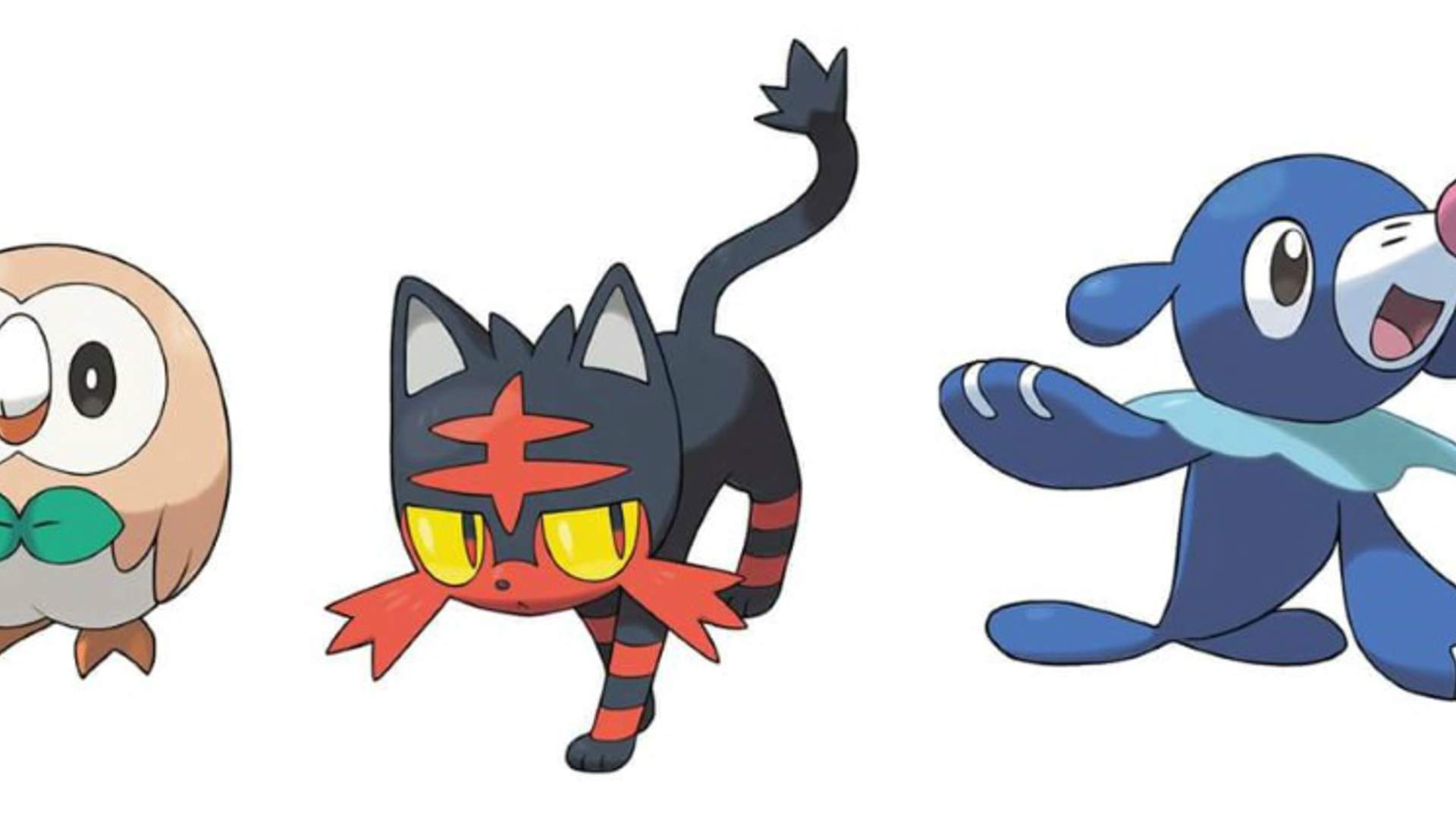 Popplio Wallpaper - HD Wallpaper 