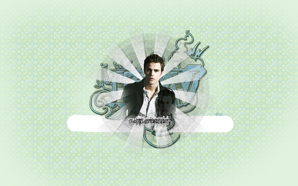 Paul Wesley - HD Wallpaper 