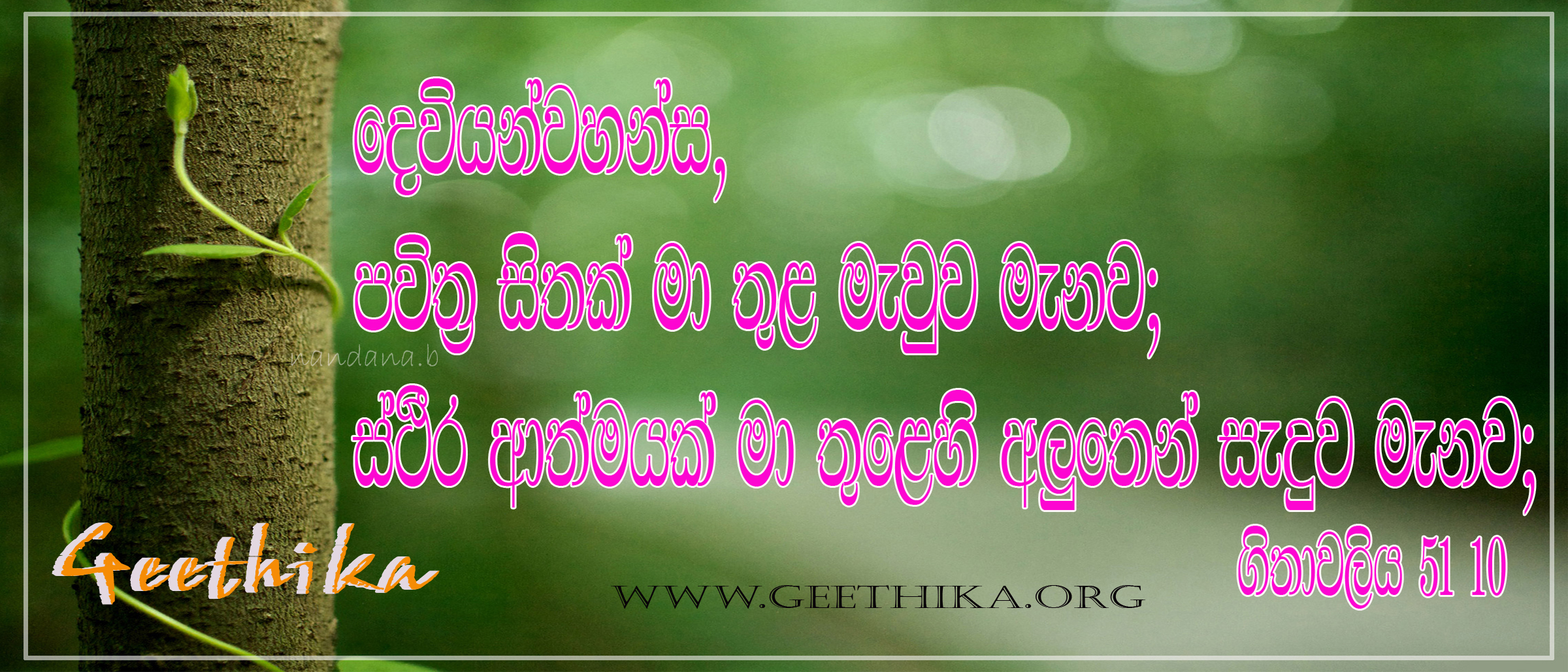 Bible Verses In Sinhala - HD Wallpaper 