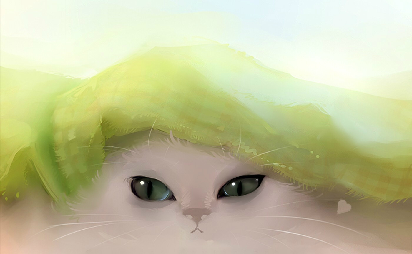 Котенок Выглядывает Из Под Одеяла - HD Wallpaper 