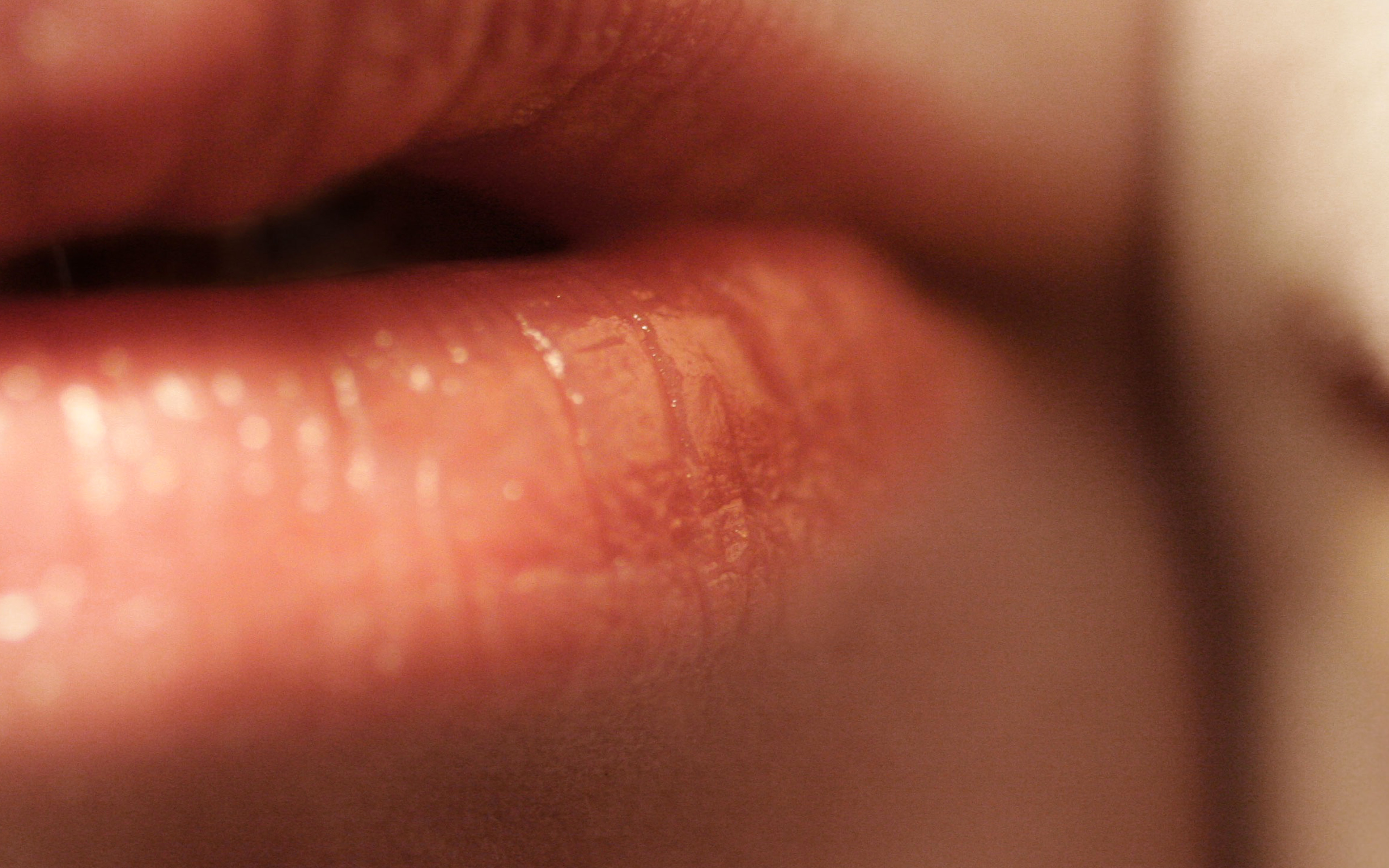 Close-up - HD Wallpaper 