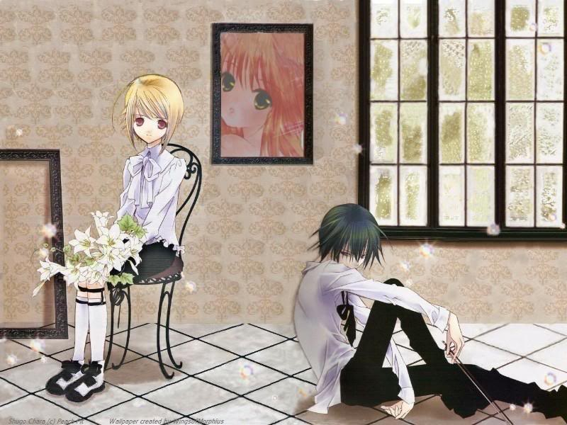 Shugo Chara - HD Wallpaper 