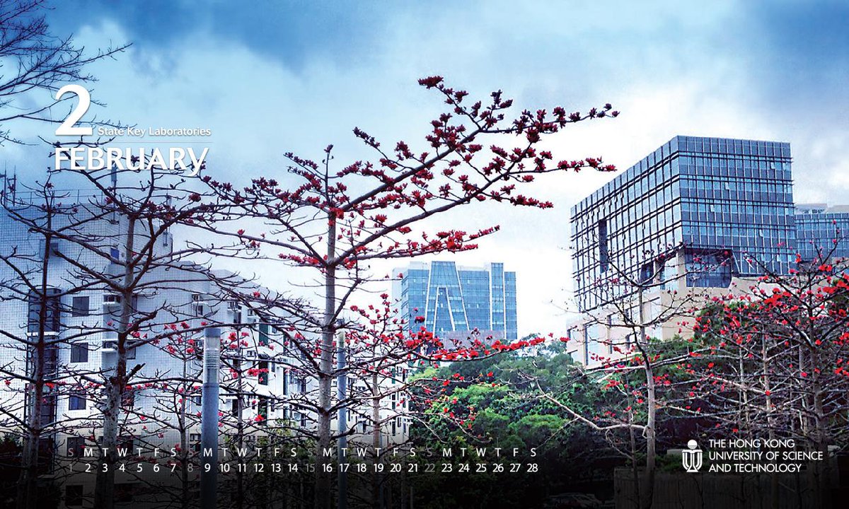 Tower Block - HD Wallpaper 