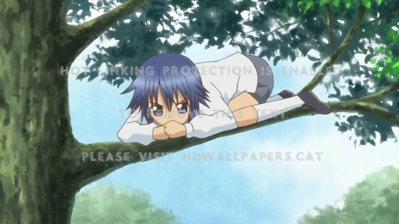 Shugo Chara Yoru Amu Ikuto Tadase Anime - Shugo Chara Ikuto Child - HD Wallpaper 