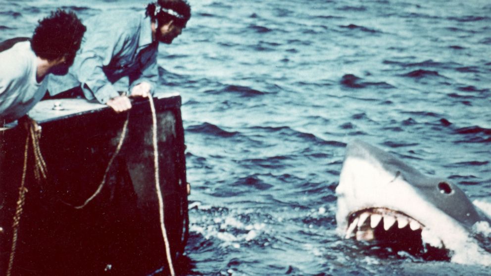 Movie Jaws Shark - HD Wallpaper 