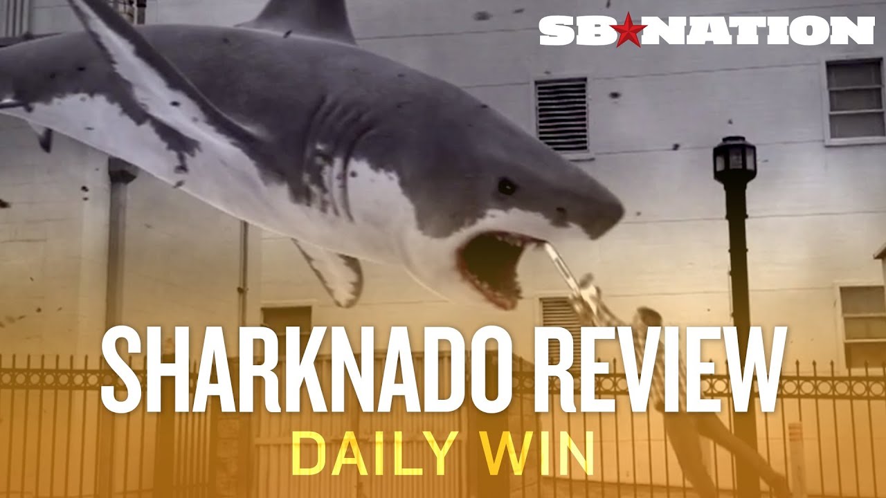 Walking Shark In Australia - HD Wallpaper 