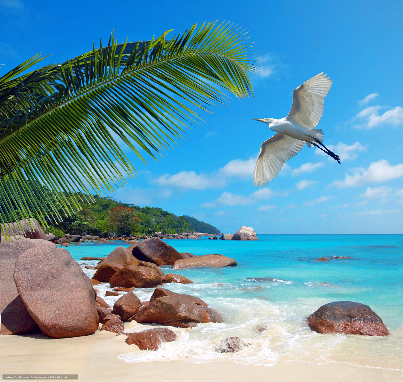 Download Wallpaper Seychelles, Beach, Birdie Free Desktop - Seychelles - HD Wallpaper 