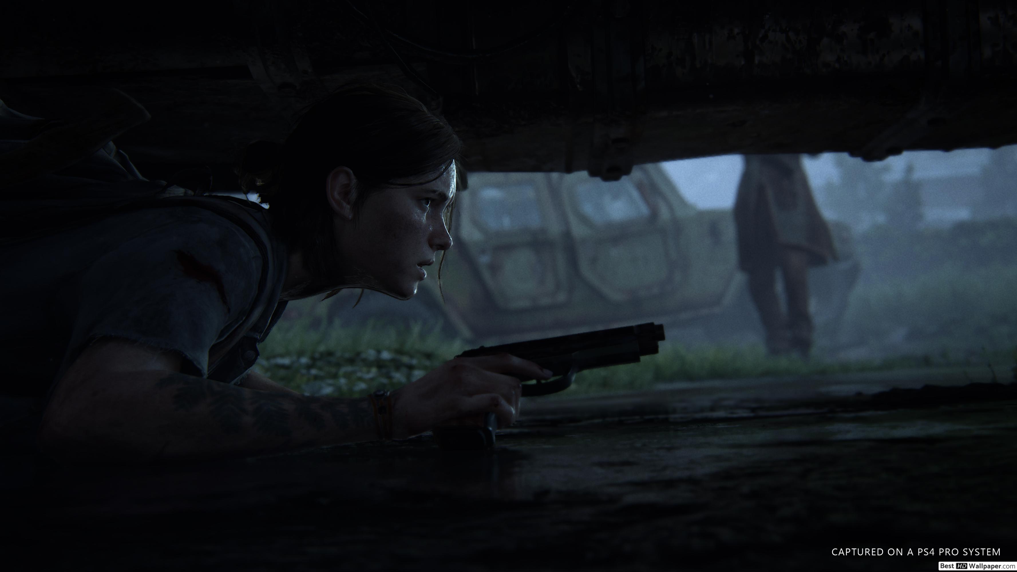 Last Of Us 2 - HD Wallpaper 