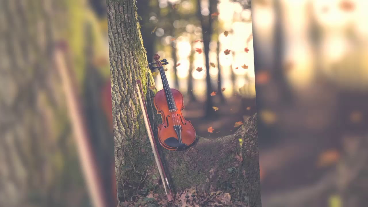 Cute Dpz Music Instrument Violin - HD Wallpaper 