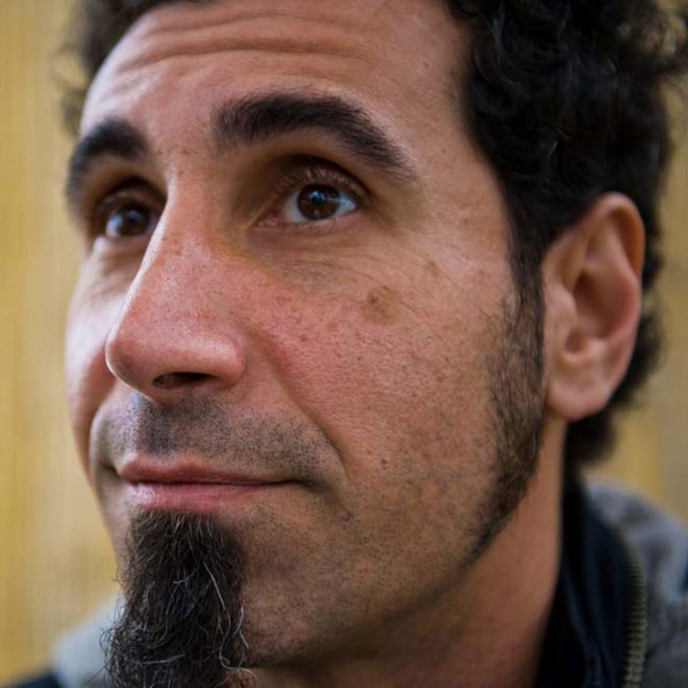 Serj Tankian Nose - HD Wallpaper 