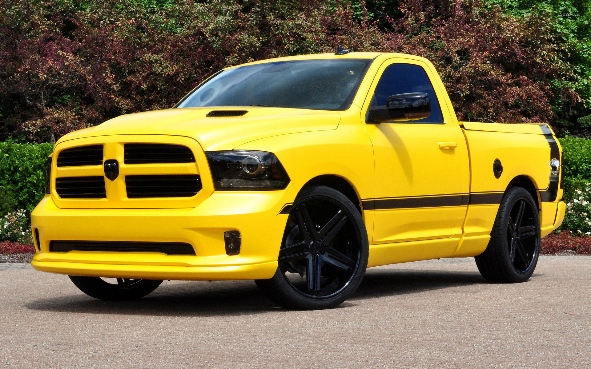Ram Rumble Bee - HD Wallpaper 