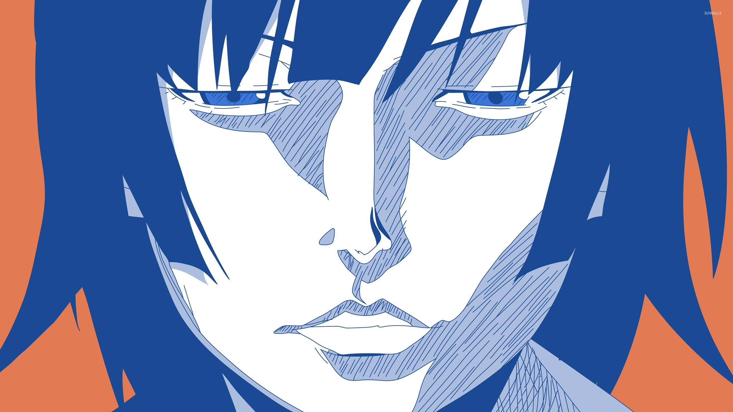 Airospace Hitagi Tapes - HD Wallpaper 