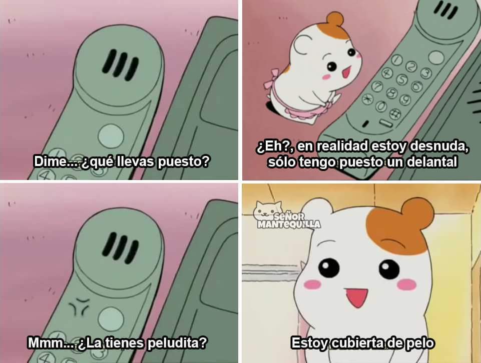 Animated Cute Hamster Gifs - HD Wallpaper 