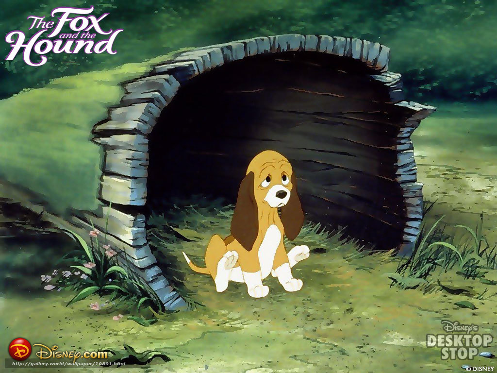 Download Wallpaper The Fox And The Dog, The Fox And - Fox And The Hound - HD Wallpaper 