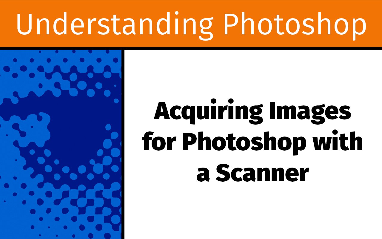 Disability Politics And Theory - HD Wallpaper 