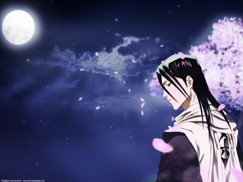 Kuchiki Byakuya Wallpaper Hd - HD Wallpaper 