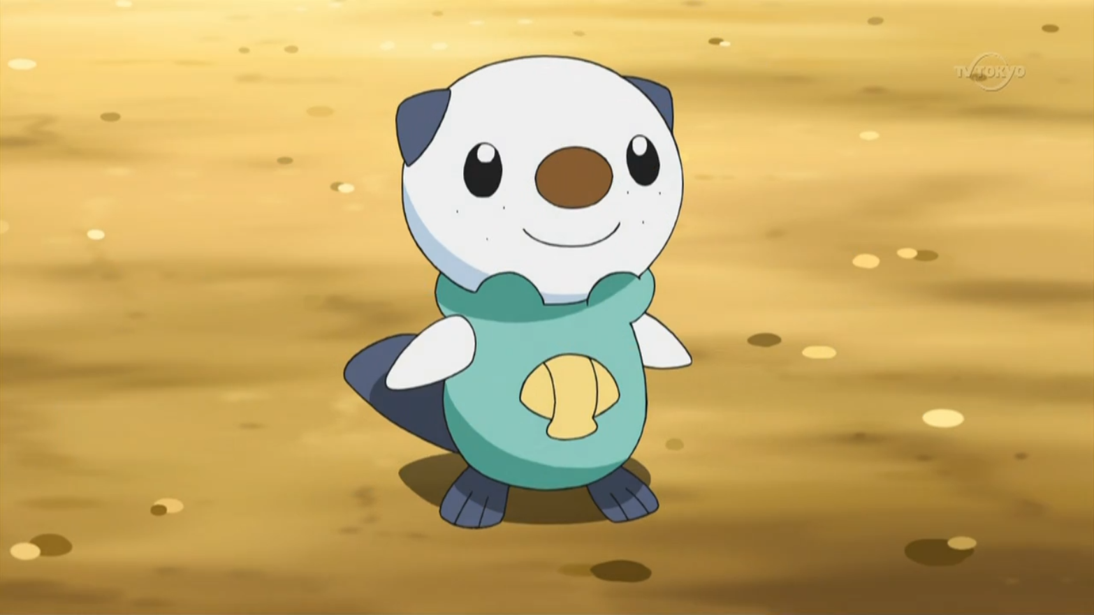 Oshawott Pokemon - HD Wallpaper 