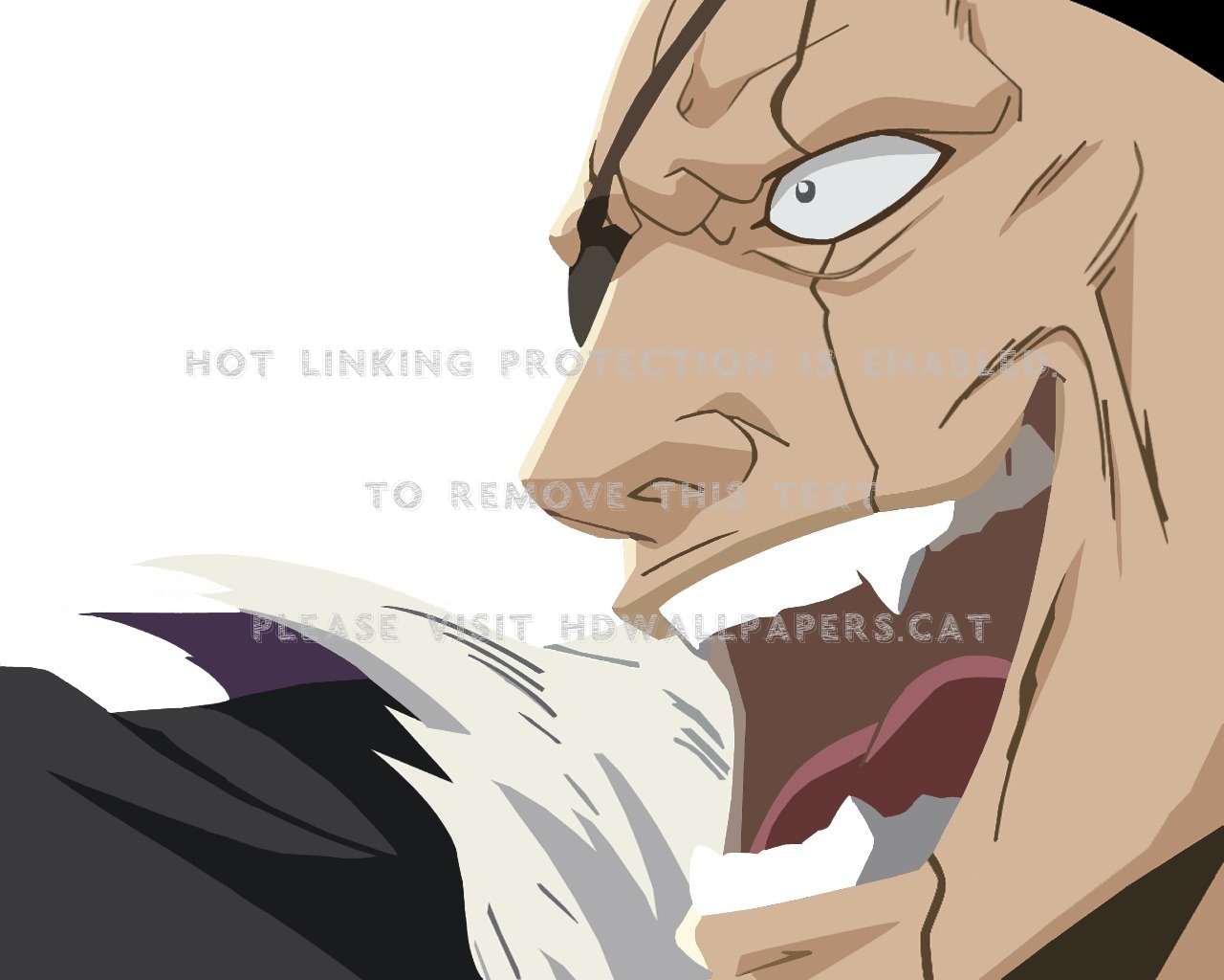 Zaraki Kenpachi Bleach Capitaine Anime - Kenpachi Zaraki Face - HD Wallpaper 