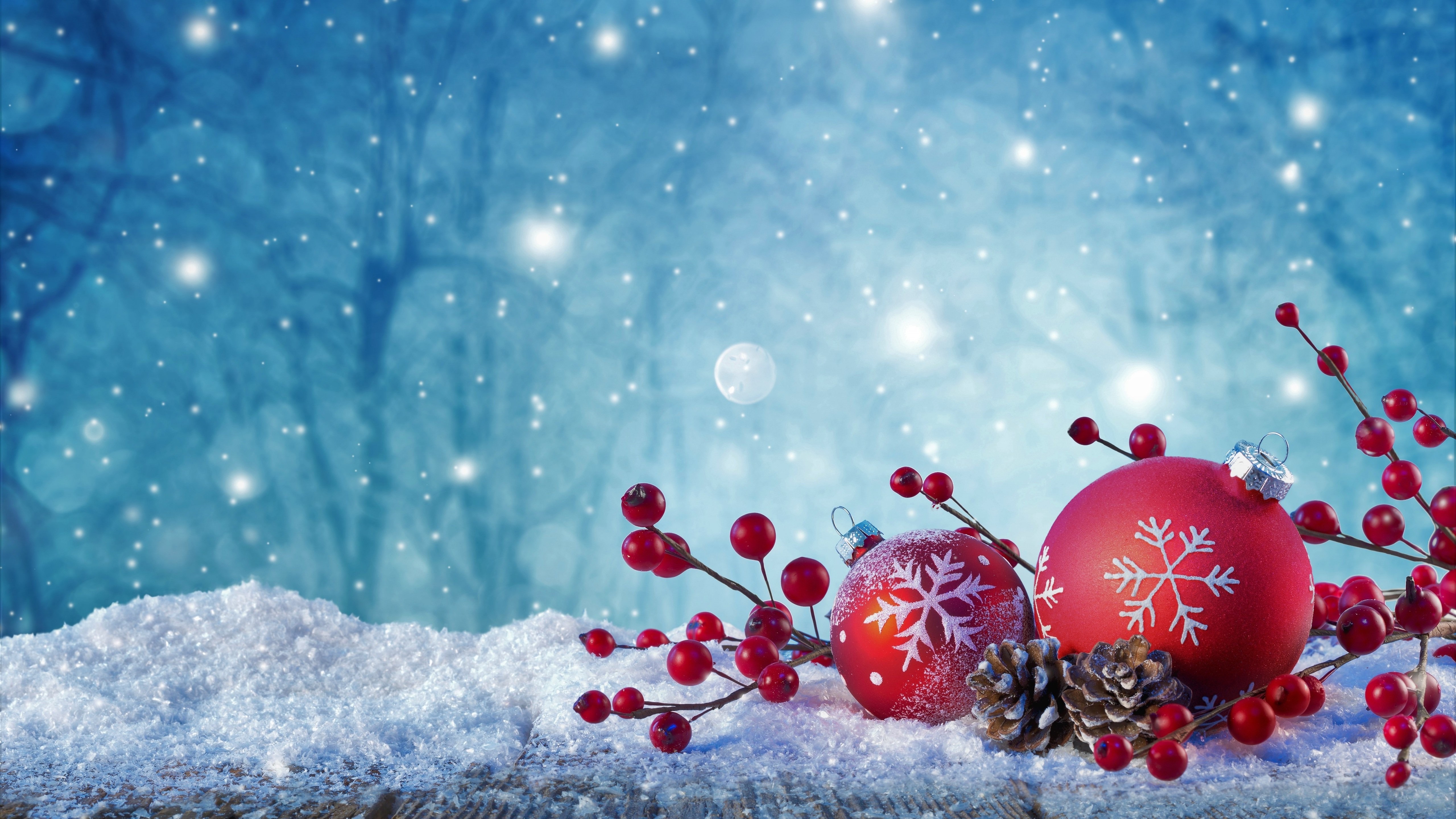 Wallpaper Of Berry, Christmas Ornaments, Pine Cone, - Slike Za Novu Godinu Cestitke - HD Wallpaper 