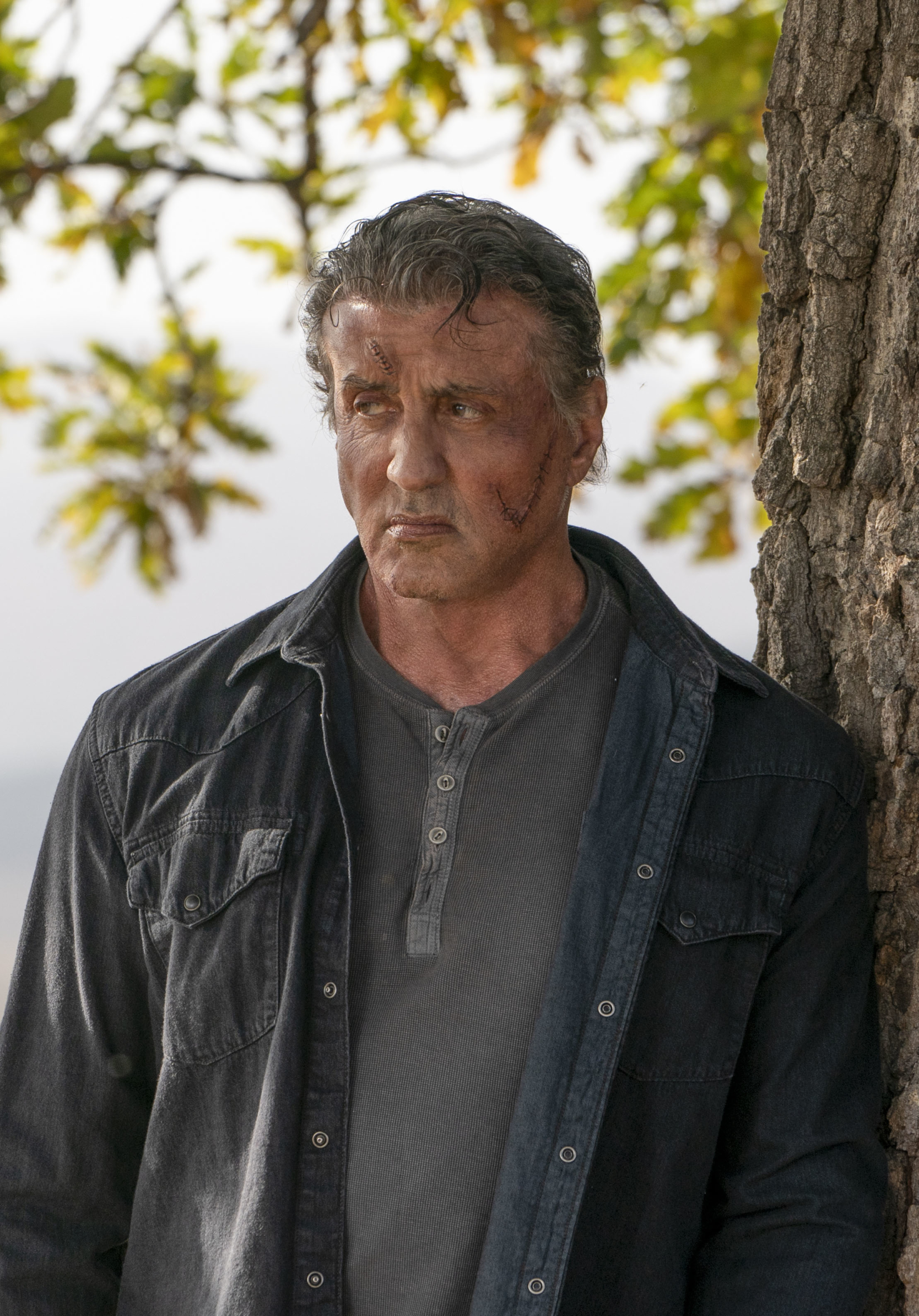Sylvester Stallone Rambo 5 Last Blood - HD Wallpaper 