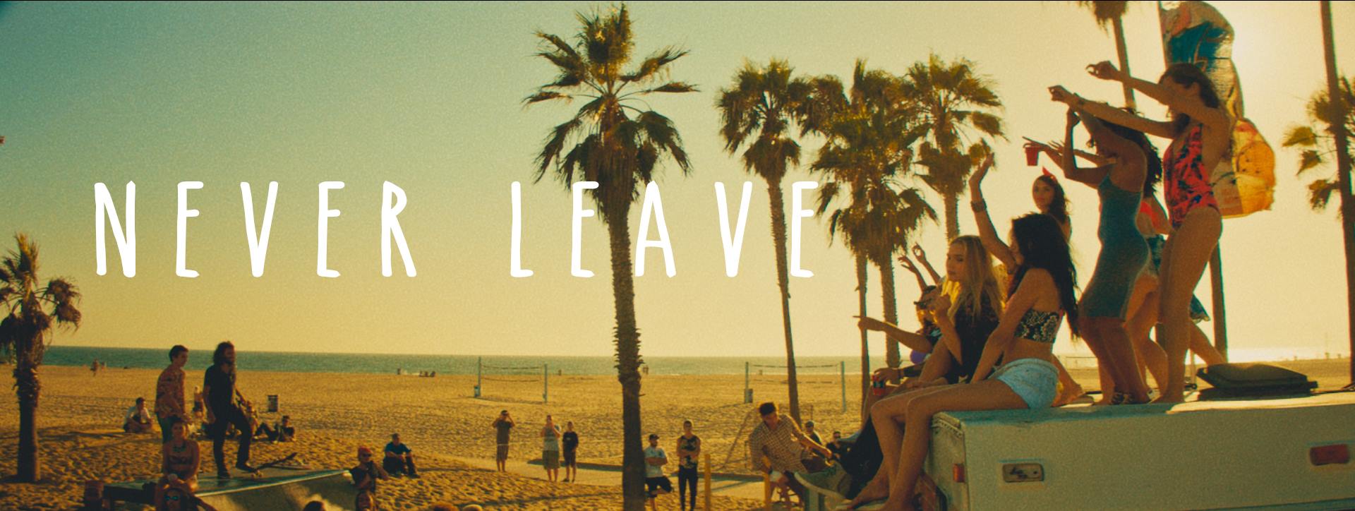 Attalea Speciosa - HD Wallpaper 