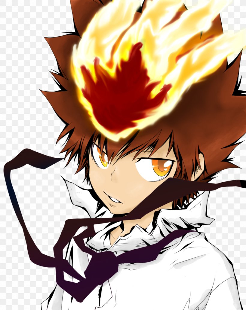 Tsunayoshi Sawada Mukuro Rokudo Reborn Art Character, - Hitman Reborn Tsuna Transparent - HD Wallpaper 
