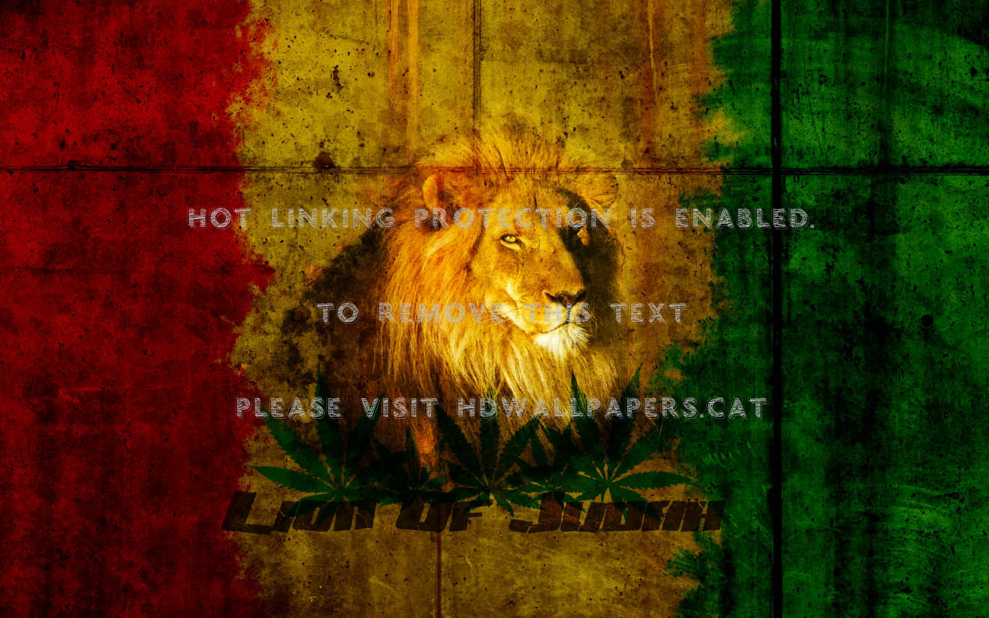 Lion Of Judah Rasta Jah Animals Cats - Lion Of Judah - HD Wallpaper 