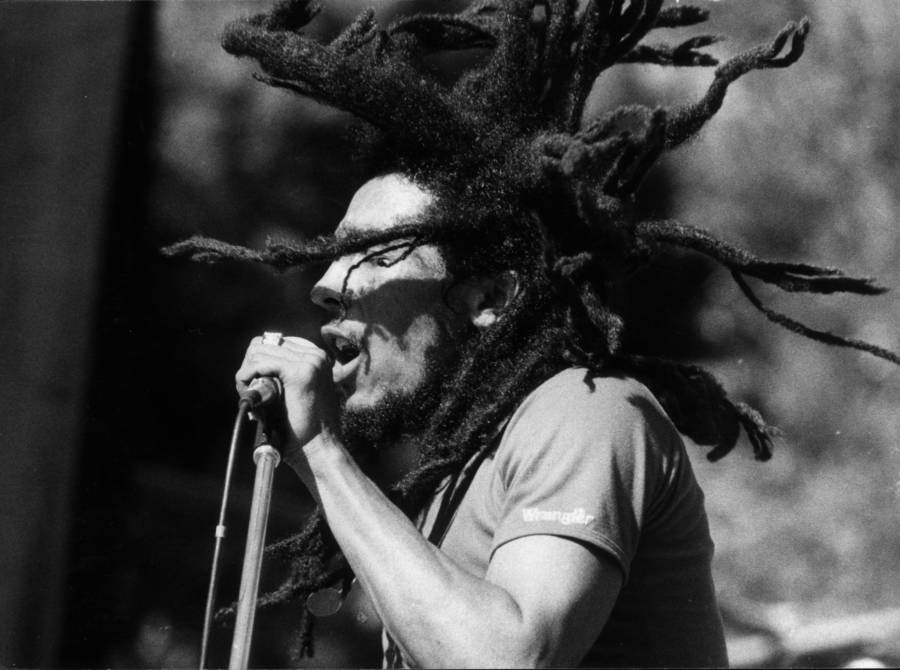 Marley With Dreads - Bob Marley - HD Wallpaper 