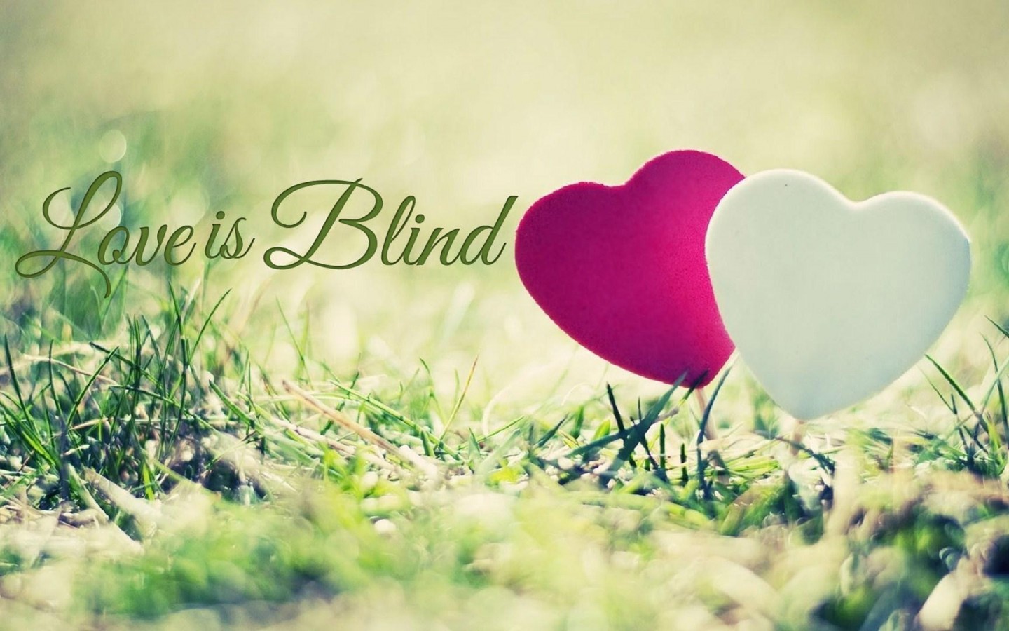 Love Is Blind Hd - HD Wallpaper 