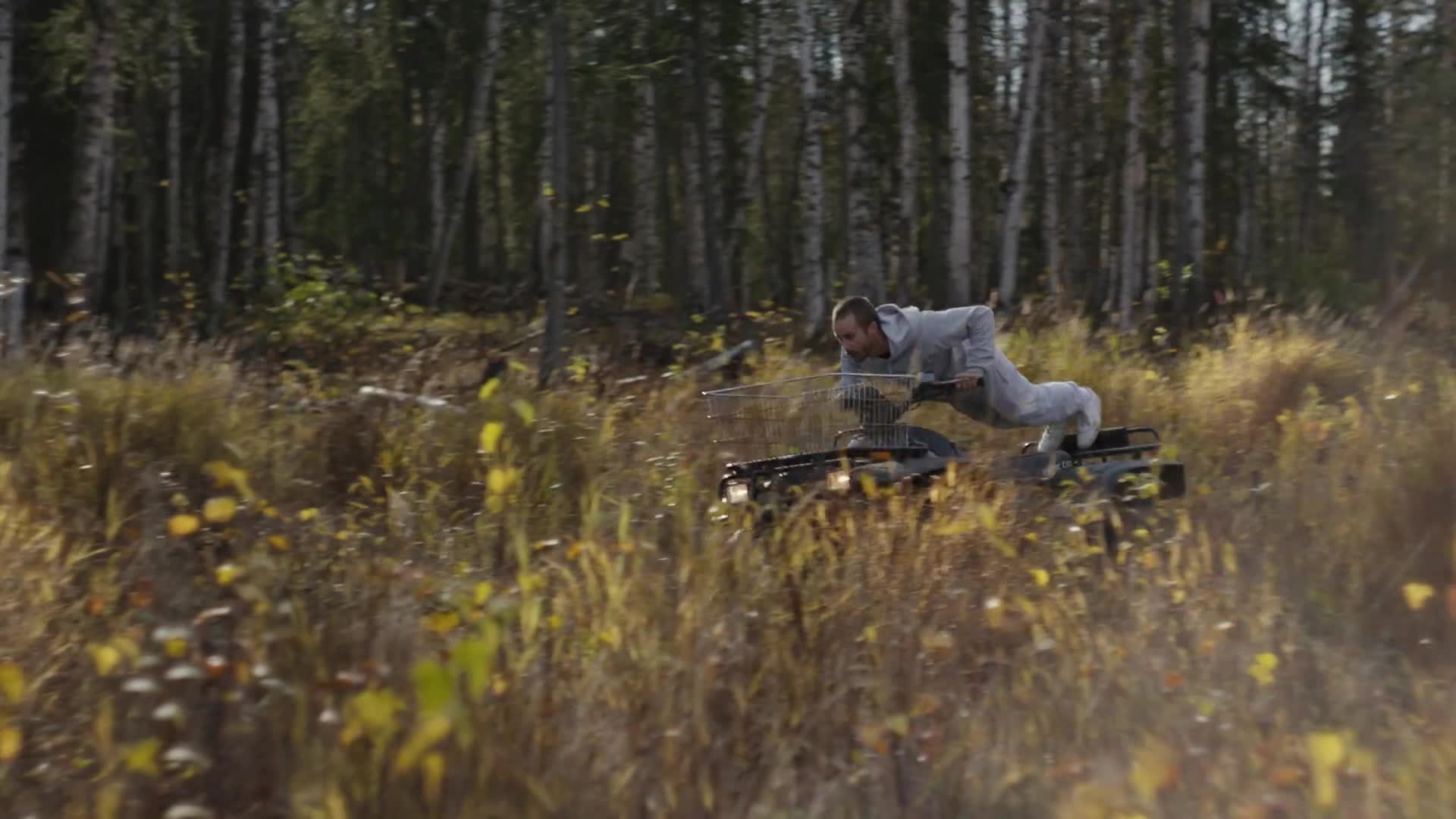 Portugal The Man Noise Pollution Gif - HD Wallpaper 