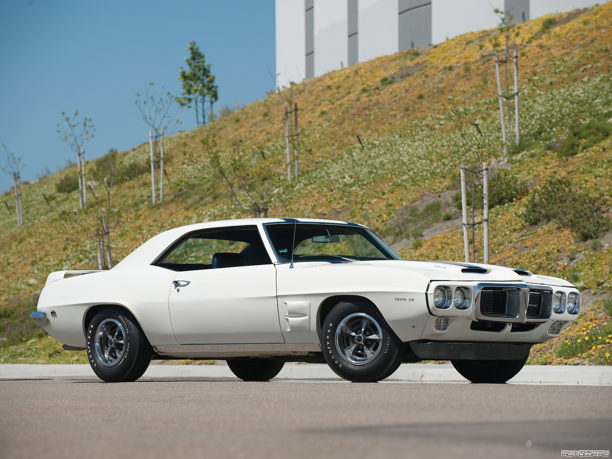 63 Trans Am - HD Wallpaper 