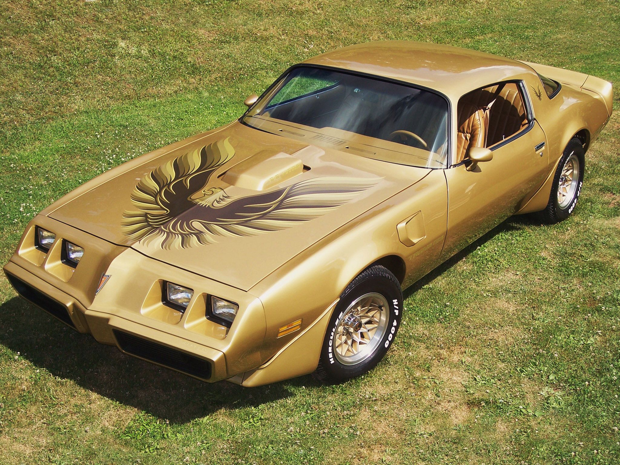 1979 Pontiac Trans Am Gold - HD Wallpaper 