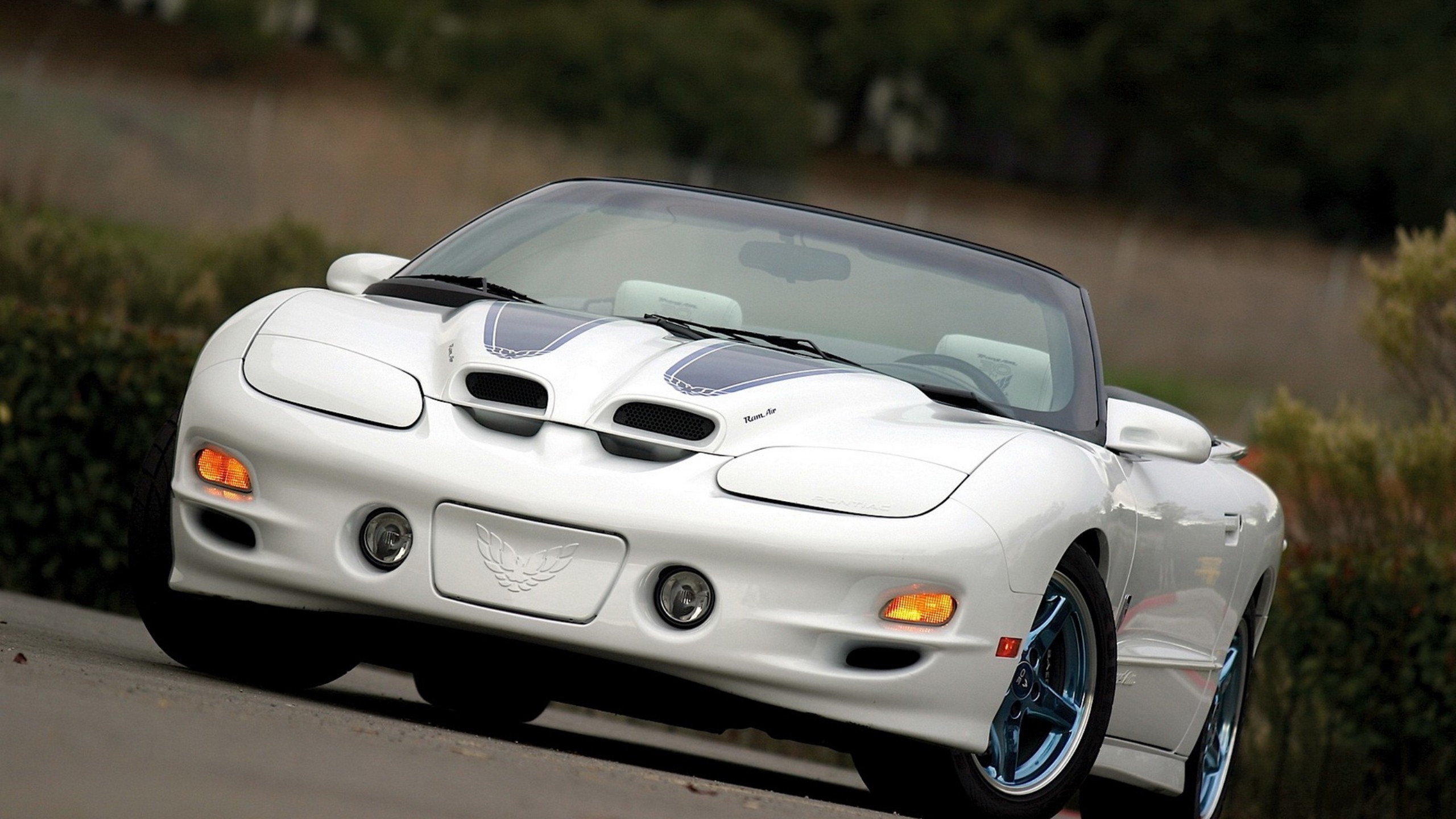 Pontiac Firebird 30th Anniversary - HD Wallpaper 