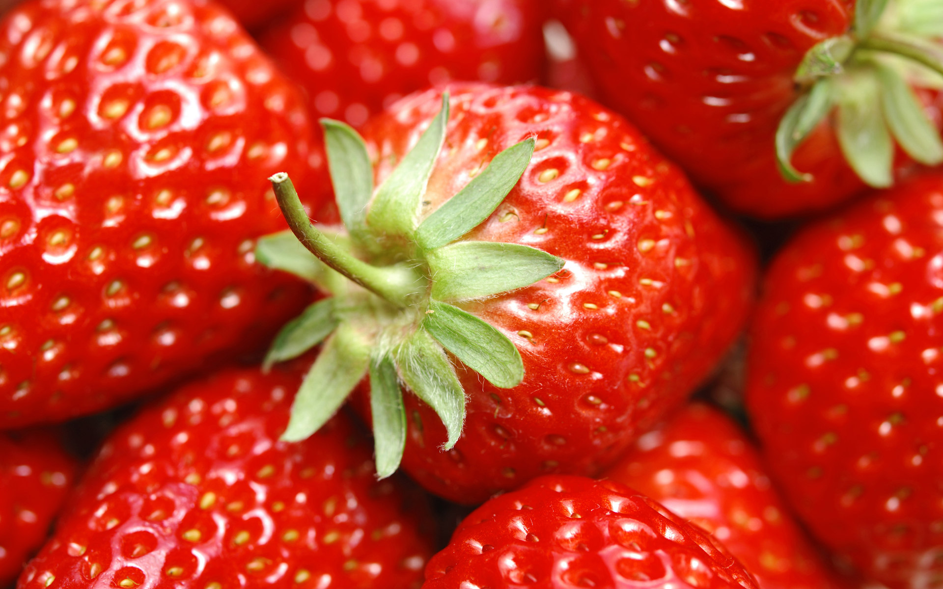 Fruit Photography - Florida Strawberry - HD Wallpaper 